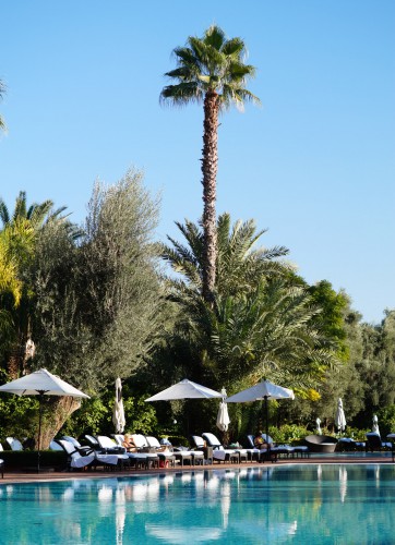 Bag-at-You---Fashion-blog---La-Mamounia-Hotel-Marrakesh---Pool-palms