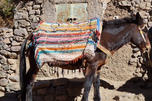 Bag-at-You---Fashion-blog---Tour-Marrakesh---Berber-taxi-High-Atlas
