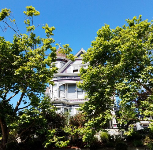 Bag-at-you---Lifestyle-blog---San-Francisco---Famous-houses