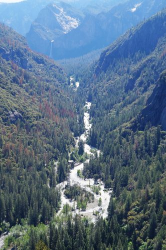 Bag-at-you---Travel-blog---Yosemite-Nation-Park---California