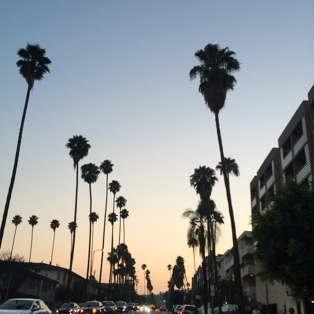 Los Angeles Travel Diary - Bag at You