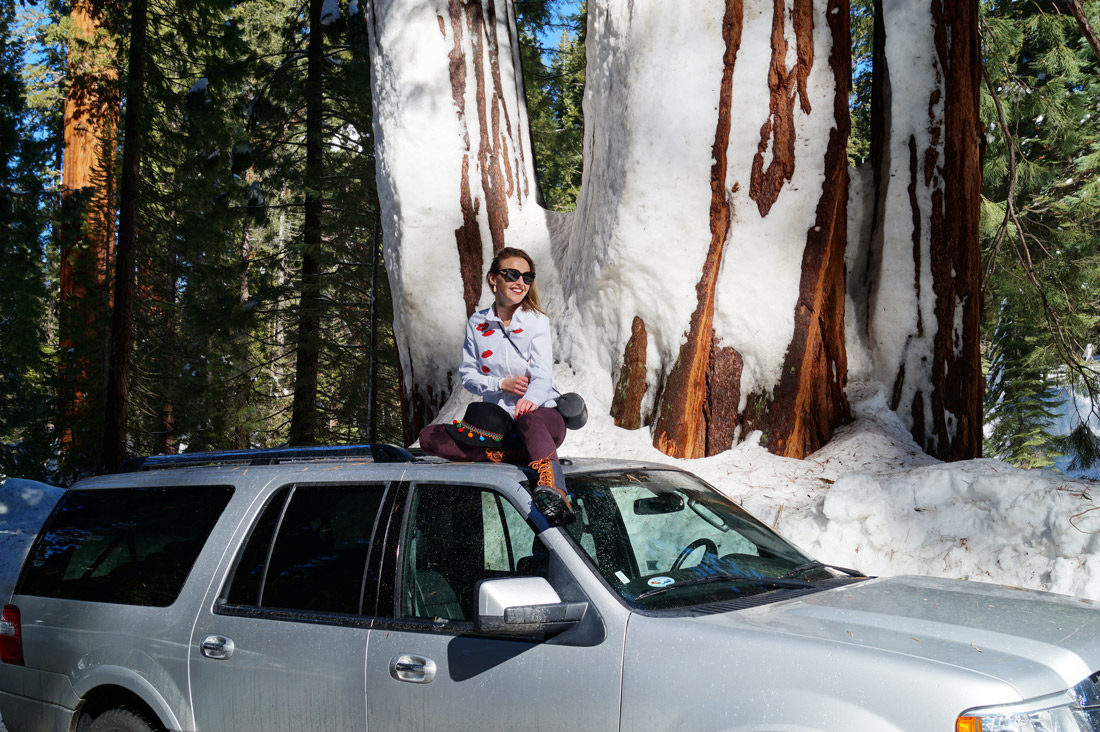 Bag-at-you---Travel-blog---Sequoia-National-Park