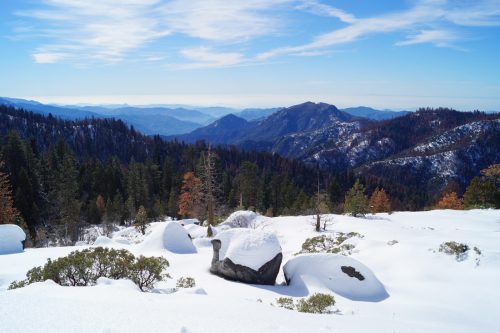 Bag-at-you---Travel-blog---View-from-Sequoia-National-Park