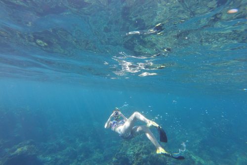 Bag-at-you---Snorkeling-on-Maui