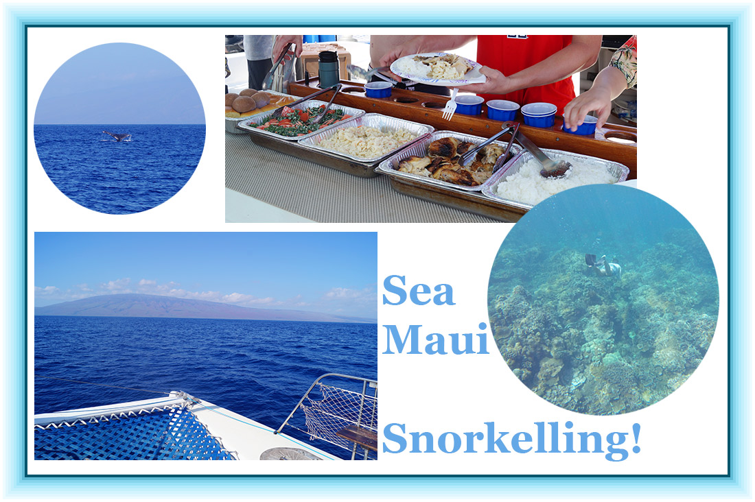 Bag-at-you---Travel-blog---Snorkelling-on-Maui---Sea-Maui